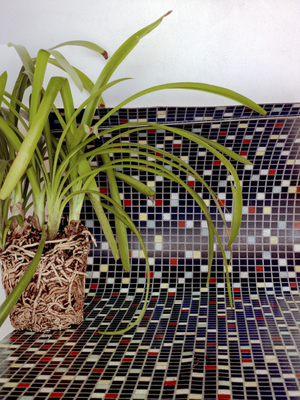 Karawatte%20Steckdose%2012_MagQuadrat_MantelZopfDruckHellerDruckPerfekt